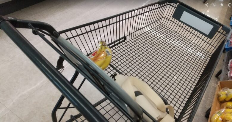 フェルナ カート